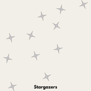 Stargazers - The Tribute To Those Who Look Up