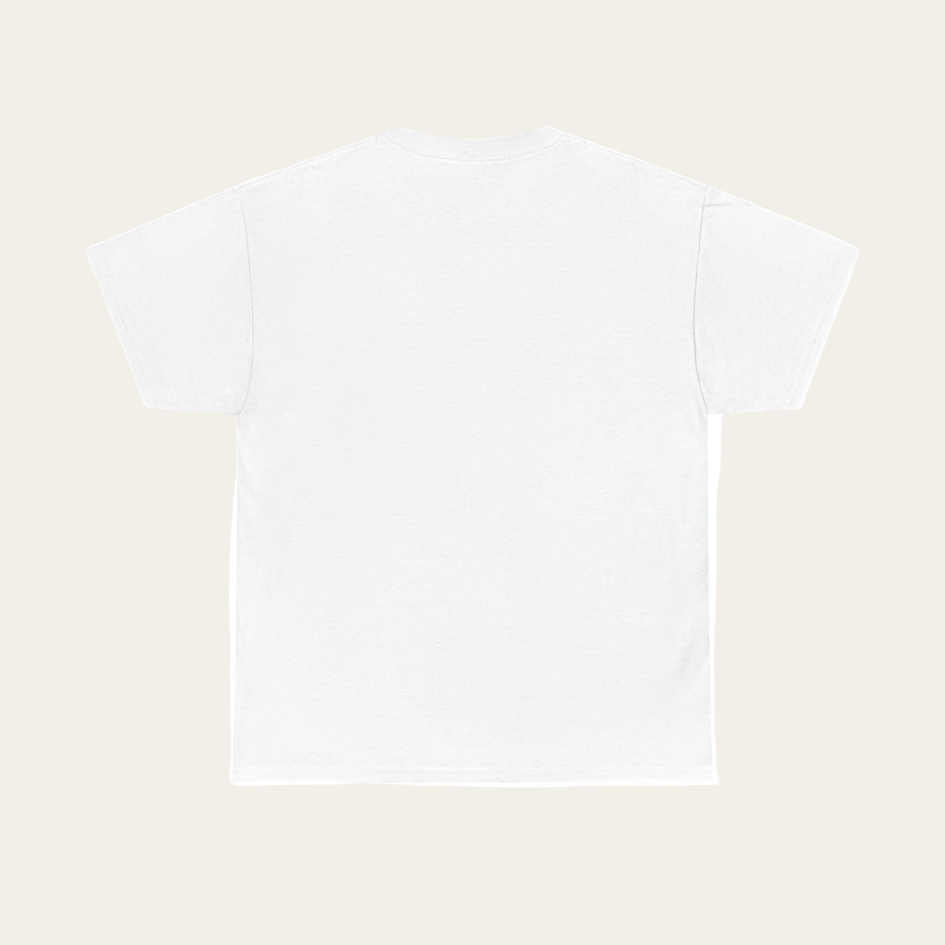 Plain white t-shirt on a white background