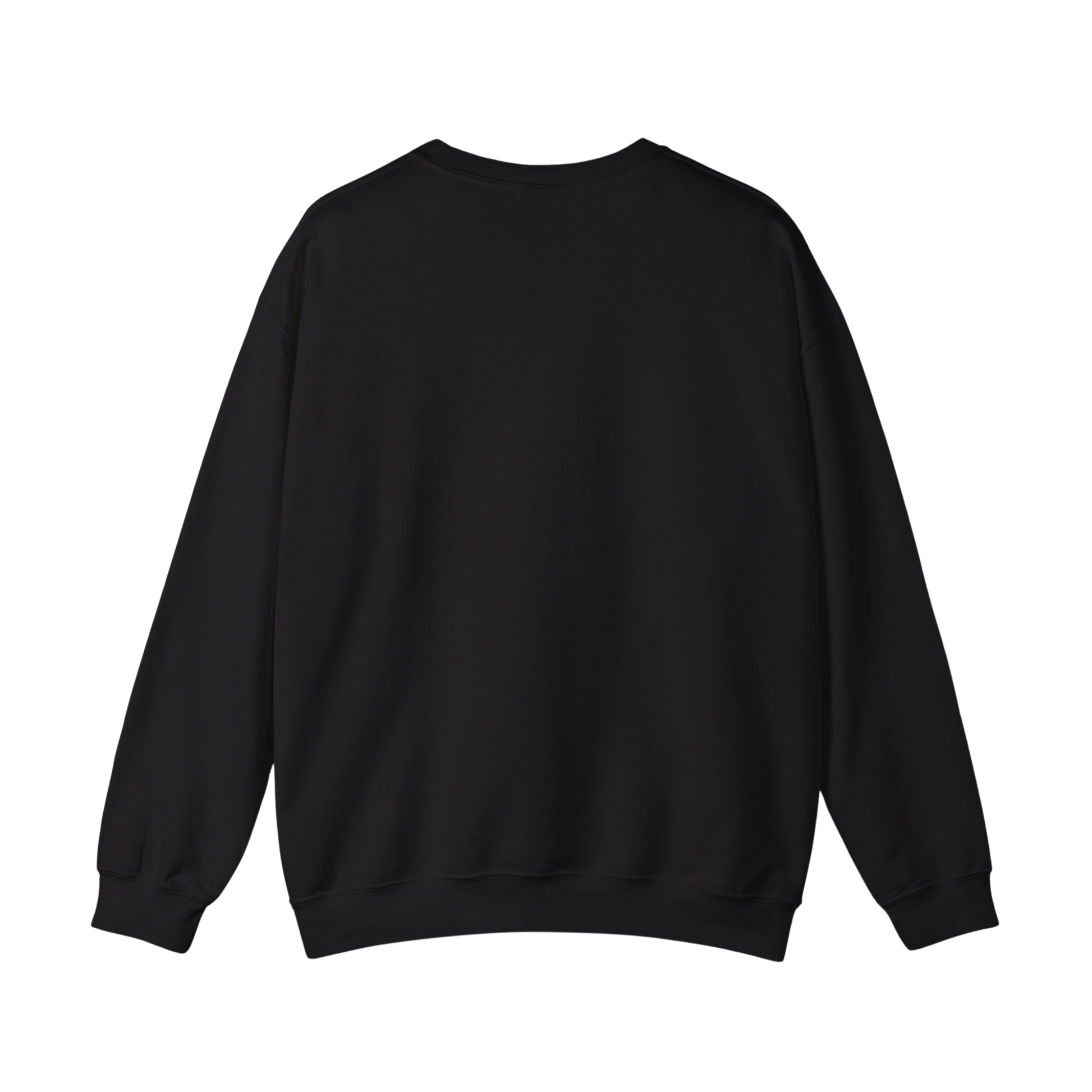 Back view of Stargazer Official crewneck sweatshirt