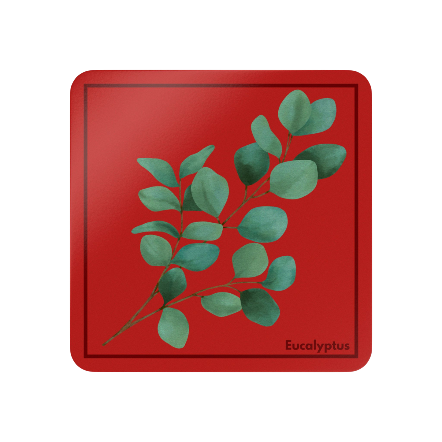 Single Eucalyptus Corkwood Coaster with eucalyptus design