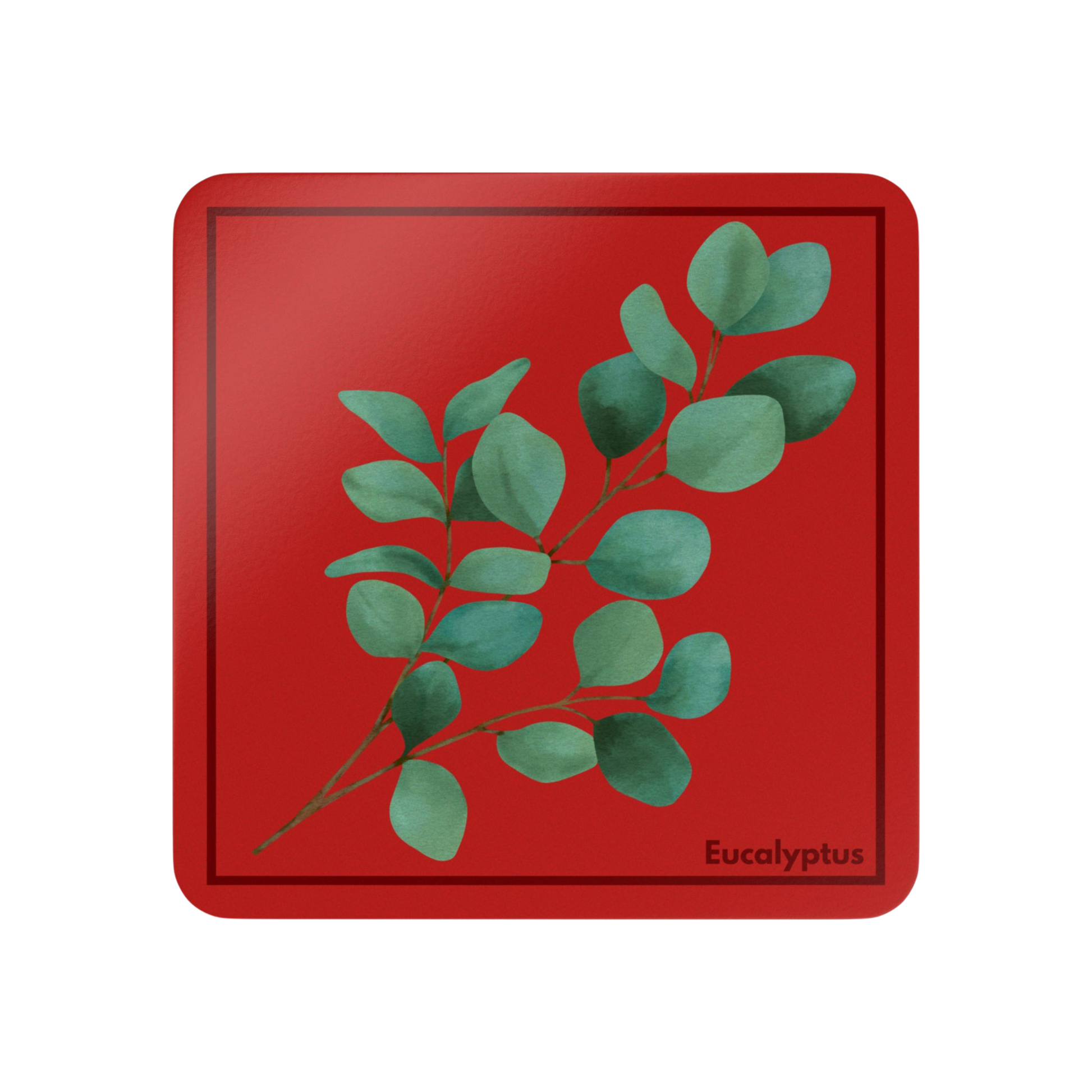 Single Eucalyptus Corkwood Coaster with eucalyptus design