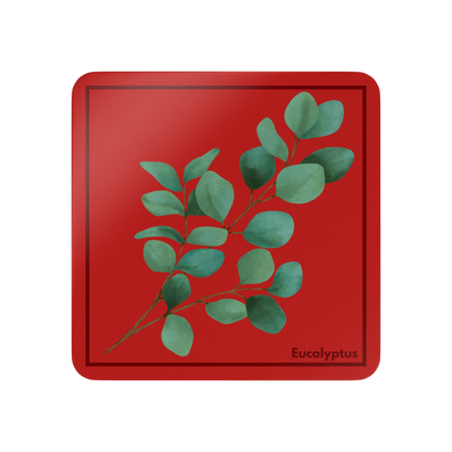 Single Eucalyptus Corkwood Coaster with eucalyptus design
