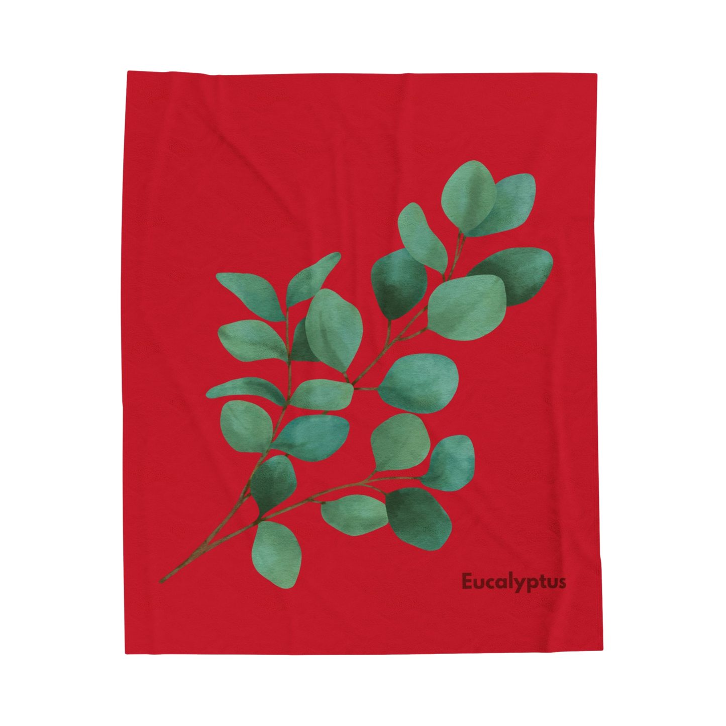 Eucalyptus Velveteen Plush Blanket in 50x60 inch size