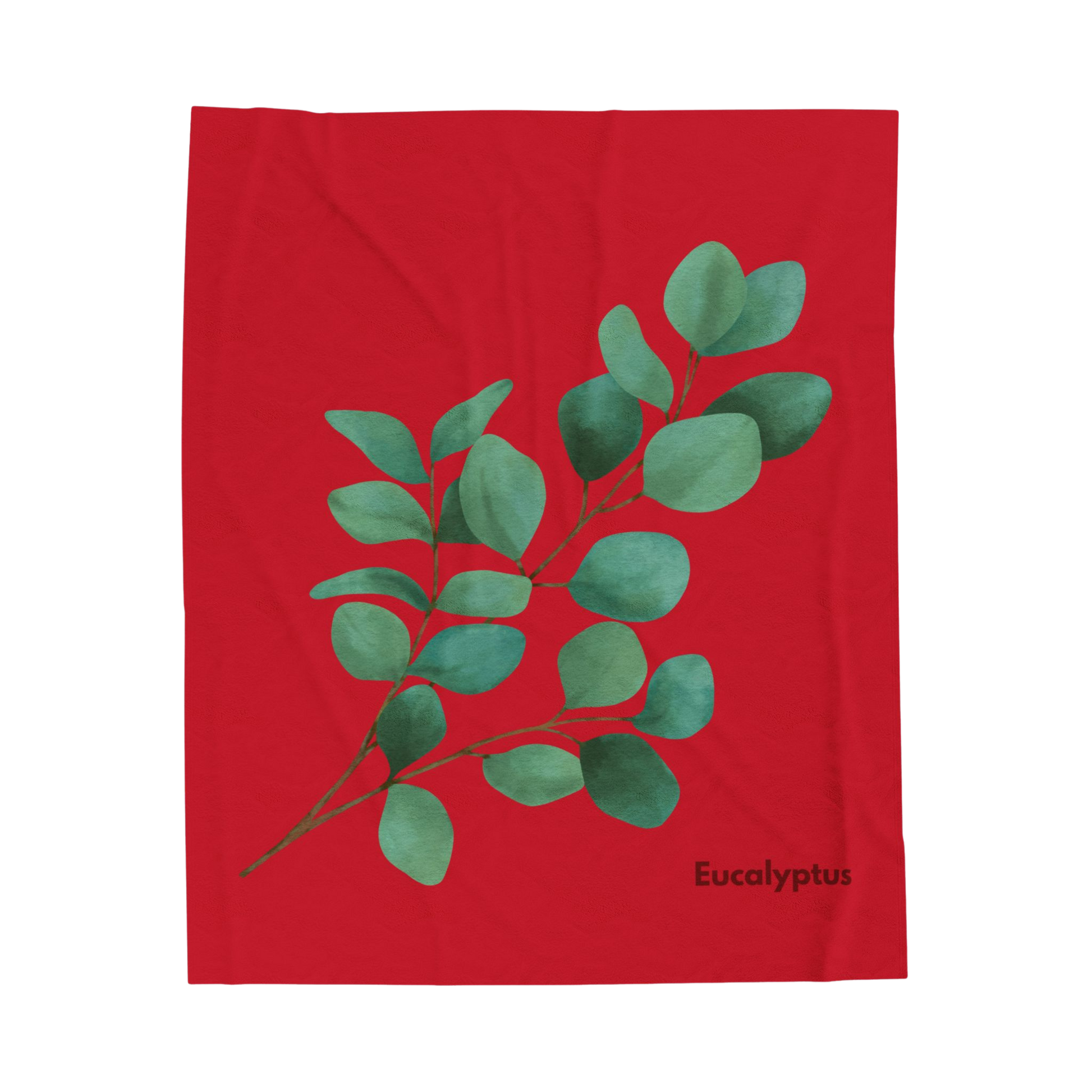 Eucalyptus Velveteen Plush Blanket in 50x60 inch size