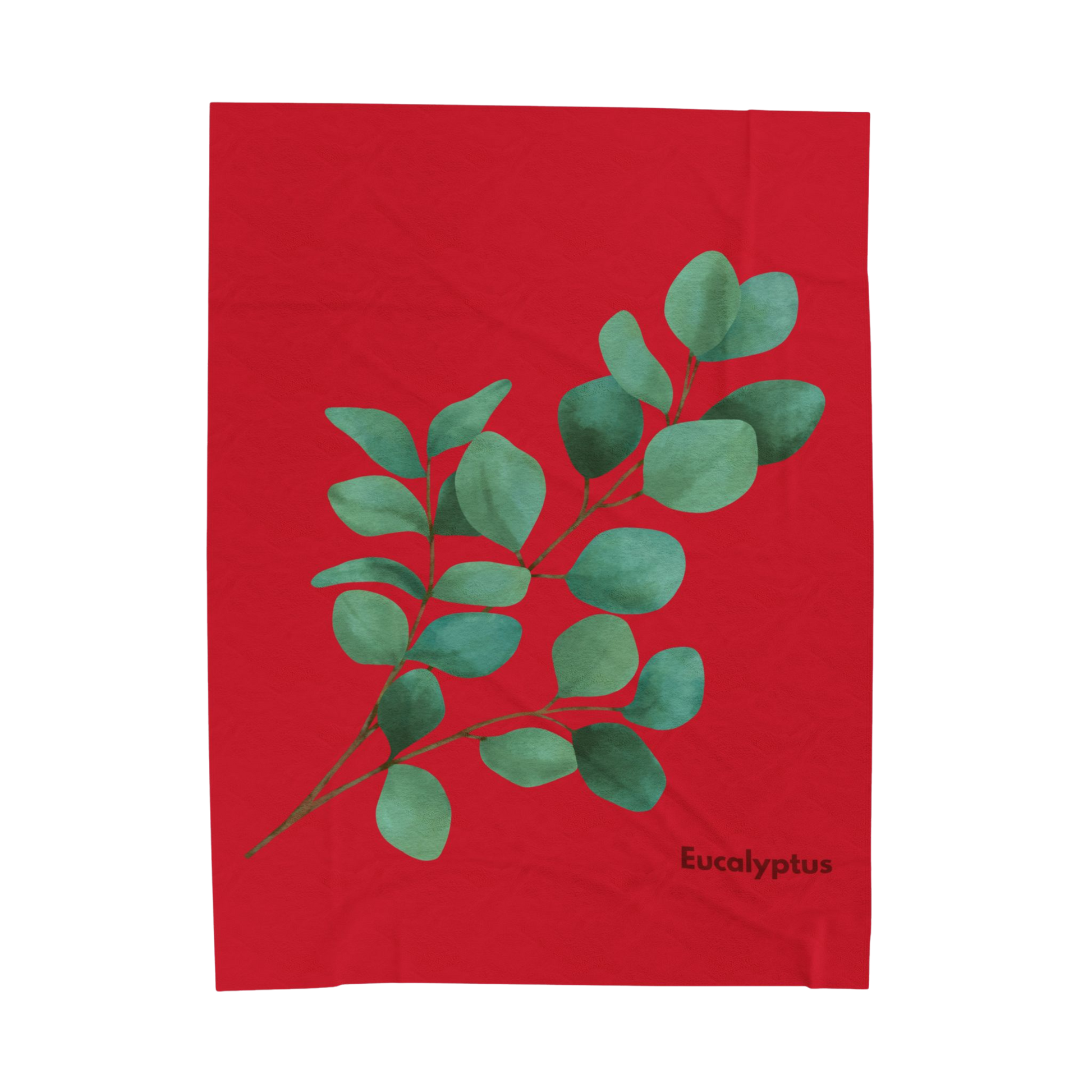 Eucalyptus Velveteen Plush Blanket in 60x80 inch size