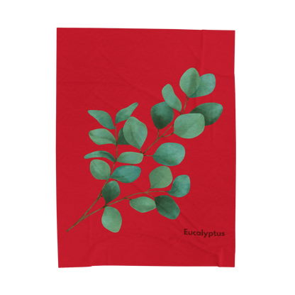 Eucalyptus Velveteen Plush Blanket in 60x80 inch size