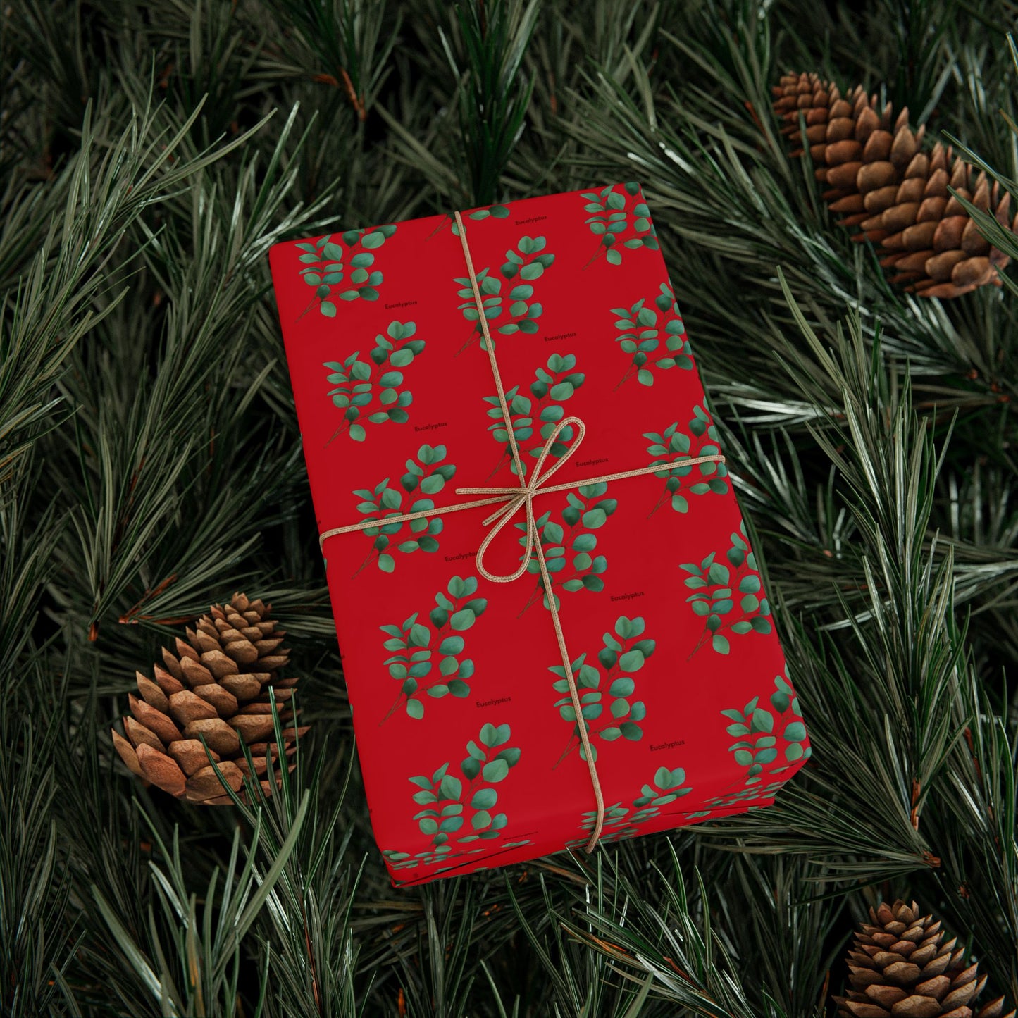 Wrapped eucalyptus gift lying among pine leaves and pine cones, styled for festive display